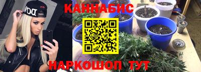СК Апрелевка