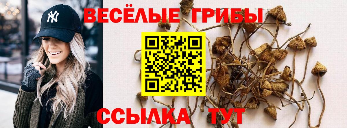 Белогорск  Галлюциногенные грибы прущие грибы  Вход с VPN 